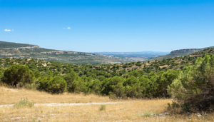 découvrez comment l'augmentation des prix de l'eau et du spanc impacte les résidents de la garrigue, entraînant une double pénalité financière qui soulève des préoccupations sur l'accessibilité et la gestion de l'eau dans cette région.