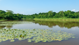 découvrez les dernières avancées dans le domaine de l'eau et de l'assainissement avec le nouveau transfert optionnel des responsabilités. cette initiative vise à améliorer la gestion des ressources en eau tout en donnant plus de flexibilité aux acteurs locaux. informez-vous sur les enjeux et les bénéfices de cette réforme essentielle pour un avenir durable.